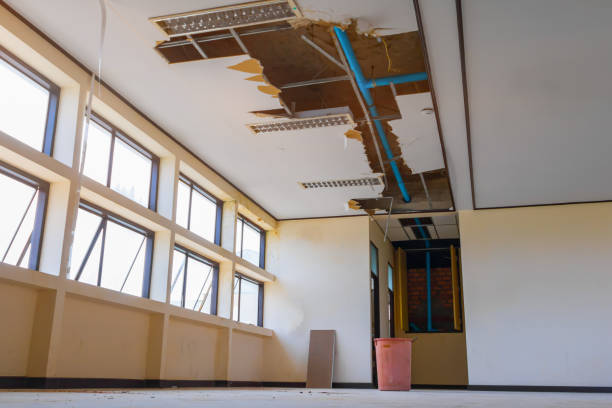 Best Water damage restoration mold remediation  in Hampton, AR