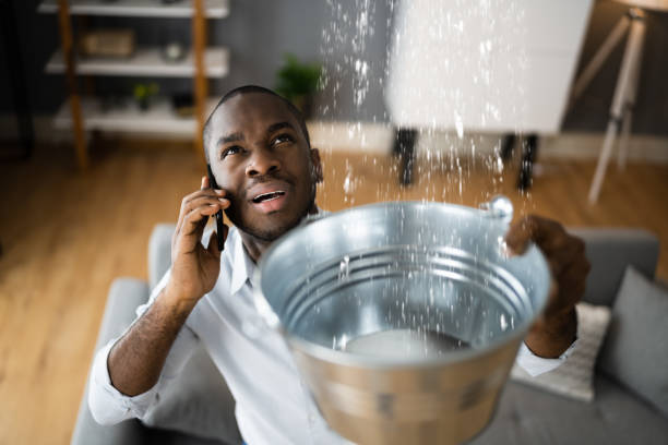 Best Water damage restoration cost  in Hampton, AR