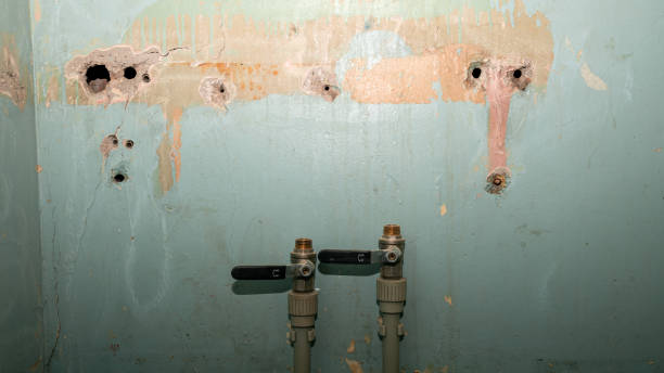Best Sewage cleanup and water damage restoration  in Hampton, AR