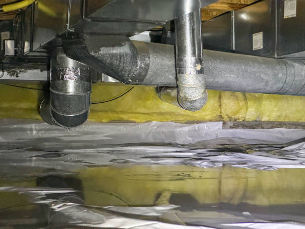 Best Water damage restoration near me  in Hampton, AR
